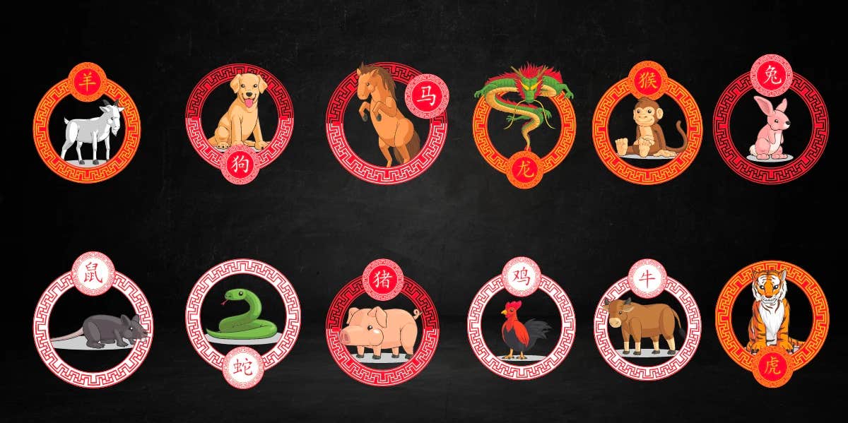 chinese zodiac signs december 2023 horoscopes