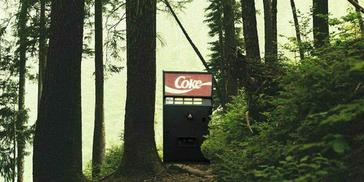 What Is The Mystery Soda Machine In Seattle? vending machine in the forest