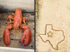 north south lobster texas