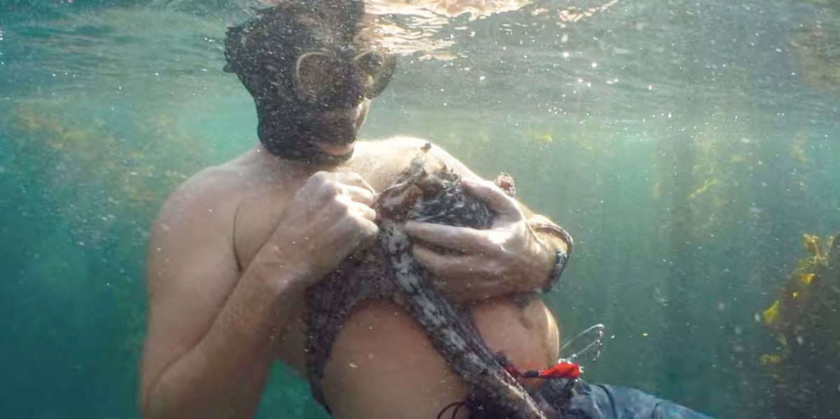 Why My Octopus Teacher Left People Wanting More Craig Foster with the octopus in his arms