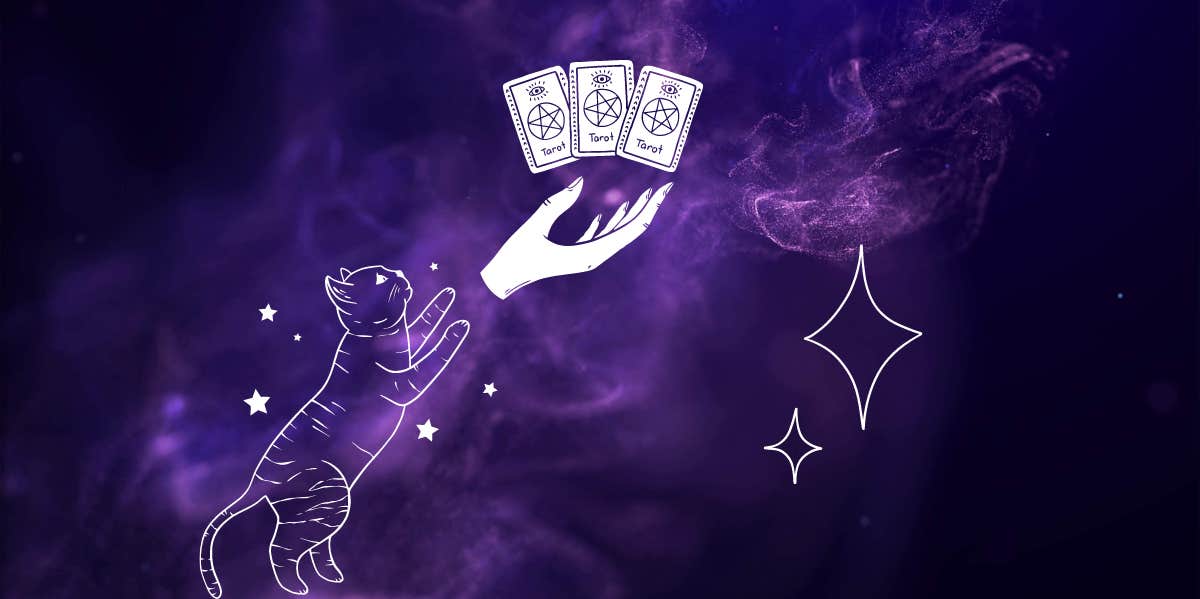 Each Zodiac Sign's One-Card Tarot Reading On February 13, 2024 Each Zodiac Sign's One-Card Tarot Reading On February 13, 2024