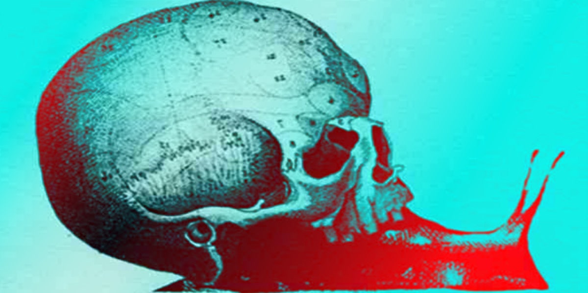 Personality Test: What Career Path Should You Take? snail with skull shell personality test