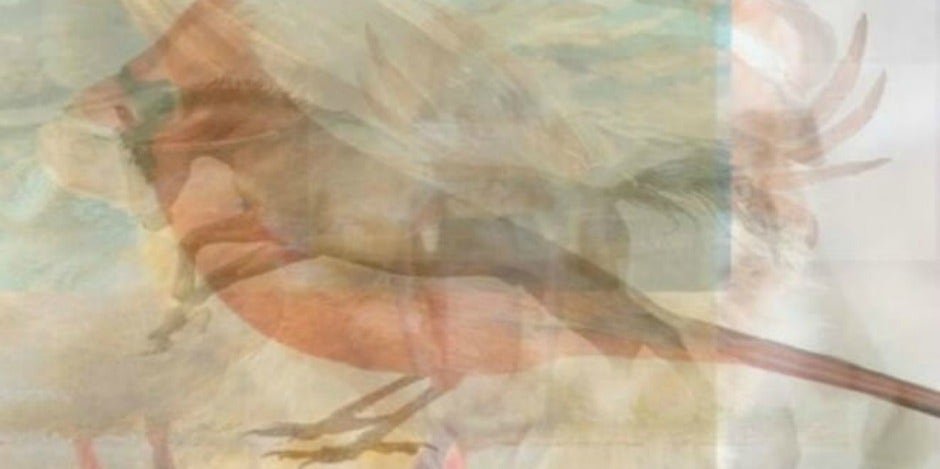 The Image You See First In This Optical Illusion Personality Test Reveals Which Love Language You Speak The Image You See First In This Optical Illusion Personality Test Reveals Which Love Language You Speak