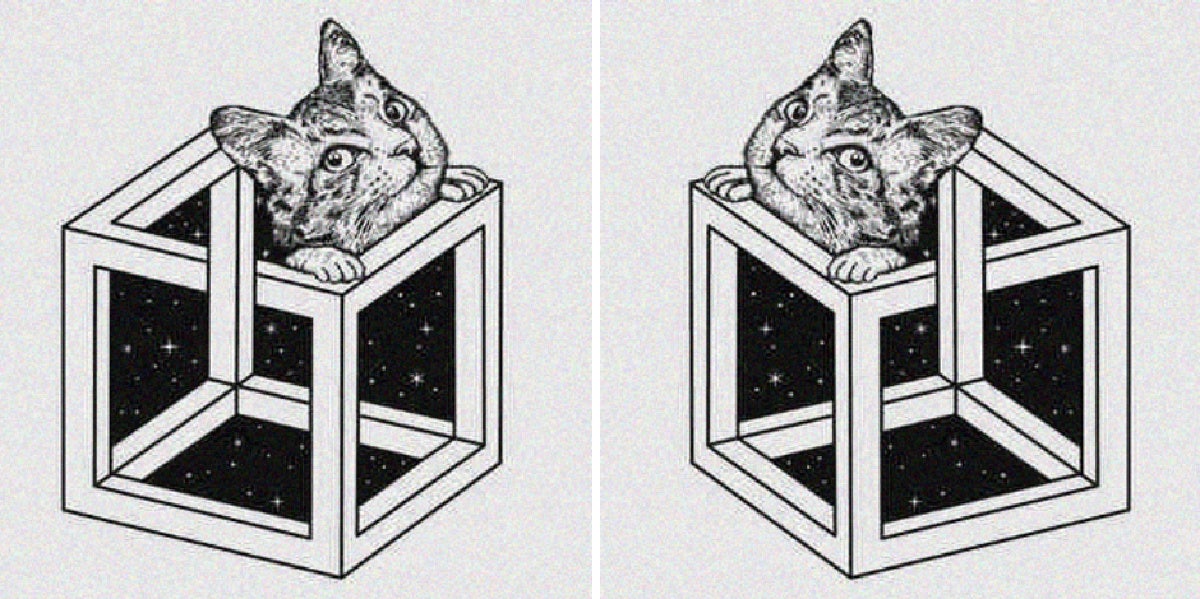 Personality Test: How Zen Are You? zen personality test