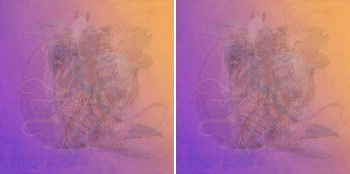 The Animal You See First In This Visual Test Reveals Your True Personality personality test true self animals