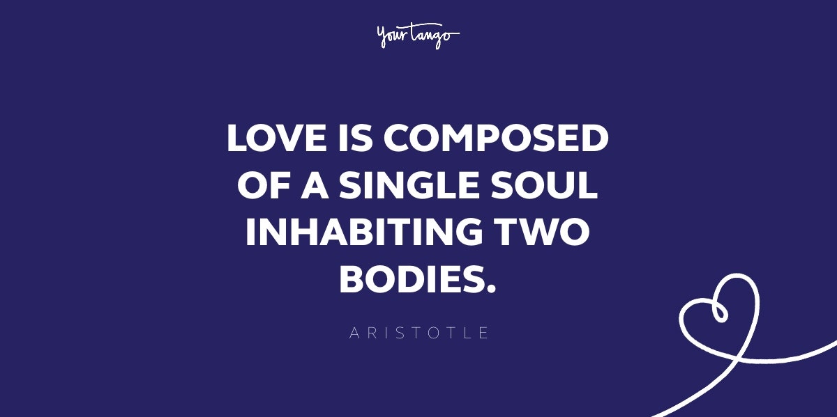 Aristotle Quotes & Sayings  Aristotle quotes, Philosophy quotes