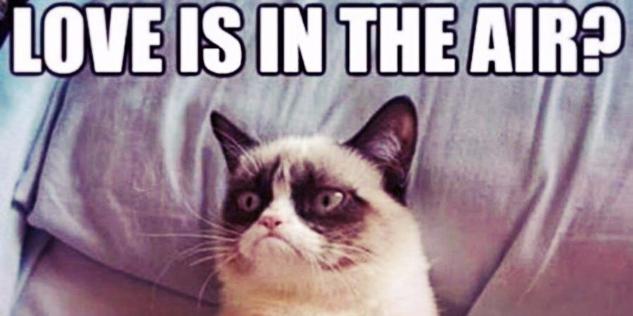 21 Best Grumpy Cat Memes And Funny Quotes About Love & Life