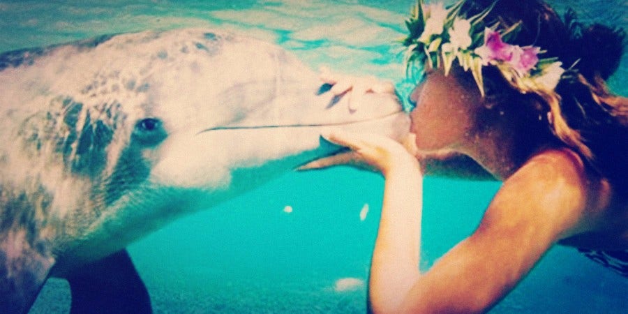 Scientists Discover Female Dolphins Have 'Protective' Vaginas To Prevent Sexual Assault Scientists Discover Female Dolphins Have 'Protective' Vaginas To Prevent Sexual Assault