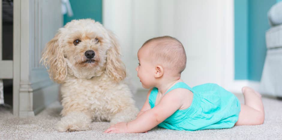 The Best Baby Names For Boys And Girls For Each Zodiac Sign In Astrology The Best Baby Names For Boys And Girls For Each Zodiac Sign In Astrology