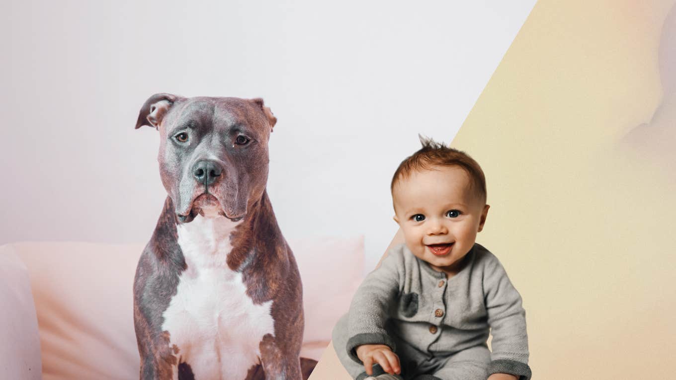 Father Sparks Parenting Debate After Showing How His Pit Bull Is Trained To Protect His Baby pitbull sitting next to baby