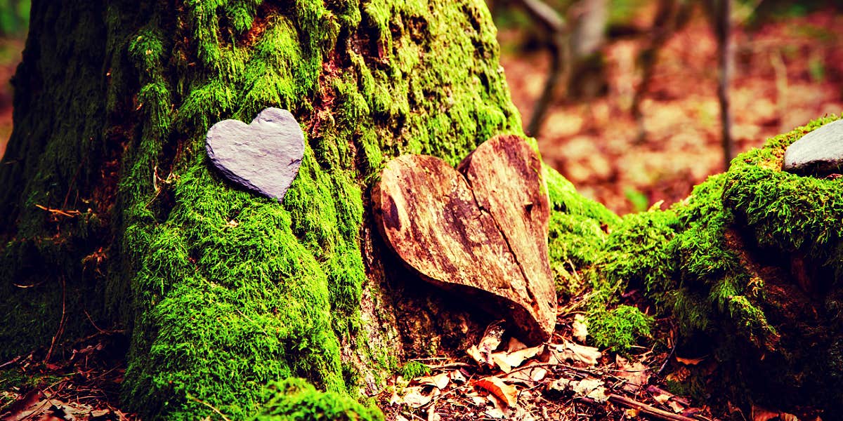 Heart memorial near a mossy tree