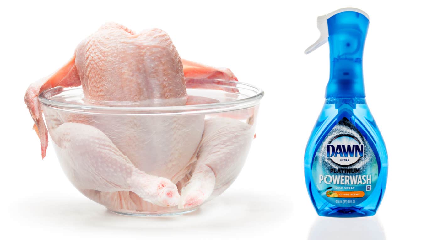 Please Don't Use Dawn Powerwash To Clean Chicken a chicken and Dawn Powerwash