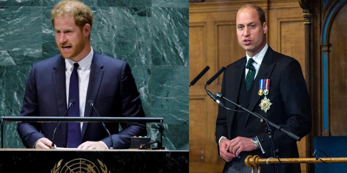 Prince Harry Accused Of Copying Prince William In UN Speech Prince Harry Accused Of Copying Prince William In UN Speech