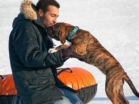 man kissing his dog