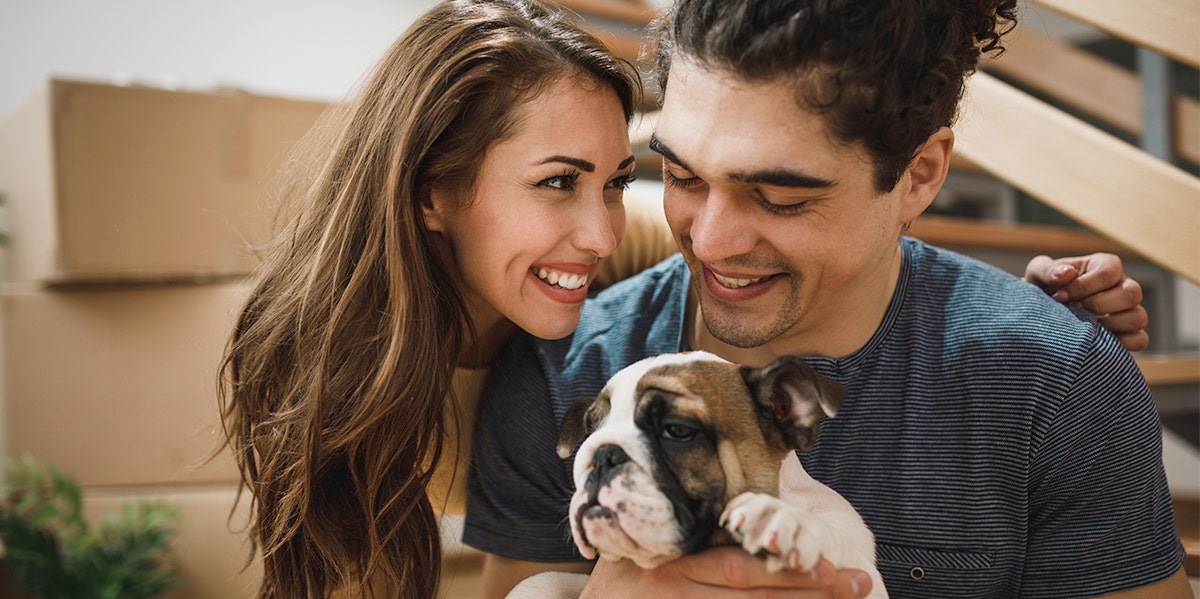 The Wildly Unconventional Oral Sex/Puppy Agreement That Saved Our Married Sex Life The Wildly Unconventional Oral Sex/Puppy Agreement That Saved Our Married Sex Life