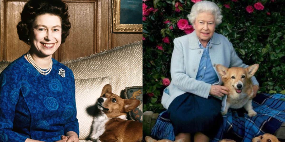 Queen Elizabeth's dogs