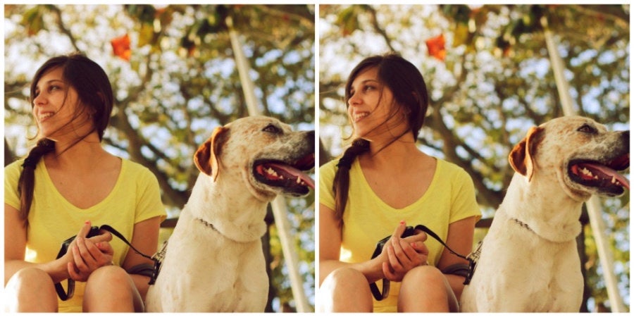 5 Things To Consider Before Adopting A Pet During COVID-19 5 Things To Consider Before Adopting A Pet During COVID-19