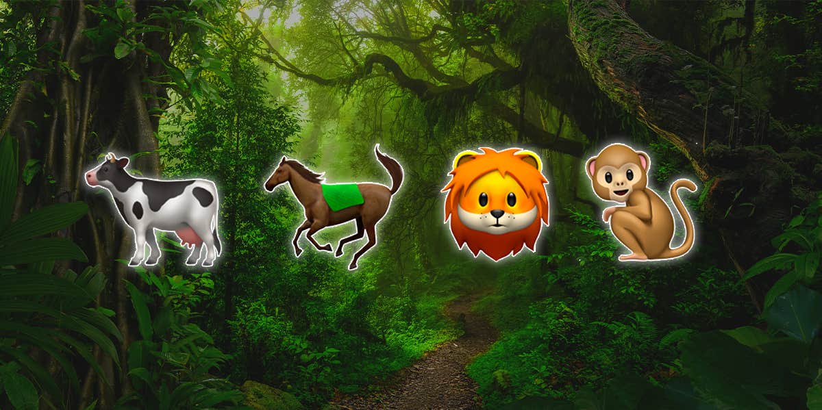 What The Rainforest Personality Test Reveals About What You Value Most In Life | YourTango What The Rainforest Personality Test Reveals About What You Value Most In Life | YourTango