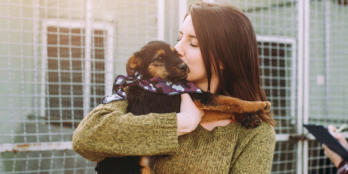 This Video Of An Elderly Dog Being Rescued Will Gut You