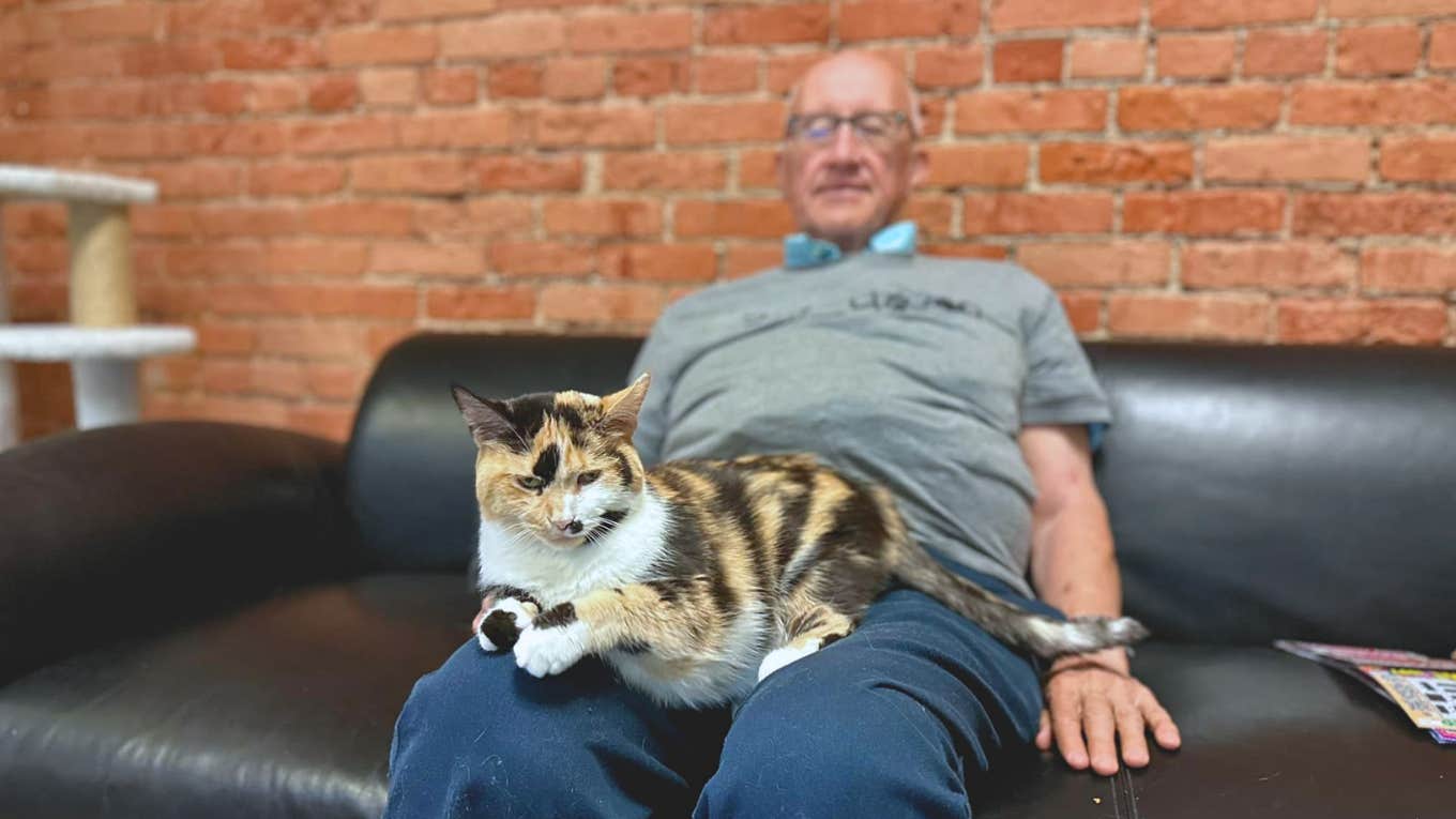 Cat napper Terry Lauerman sits comfortably on a couch and is joined by a calico fur friend.