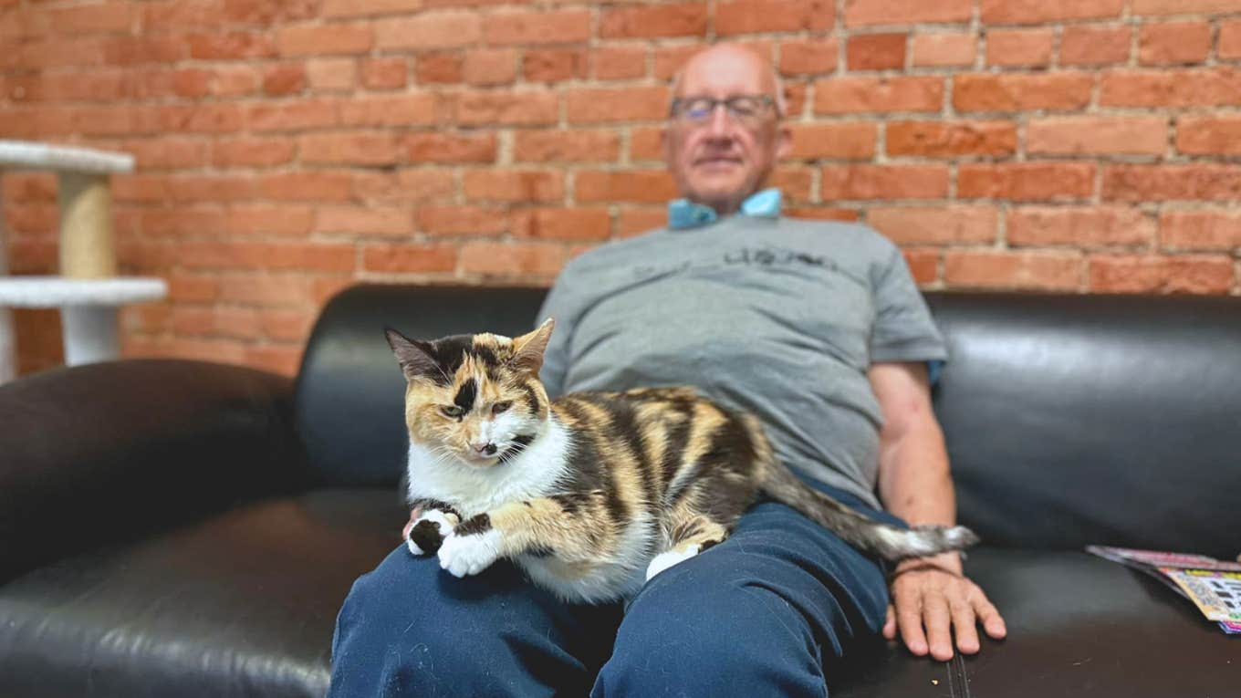 A Retired School Teacher Became A Dedicated Cat Napper At His Local Shelter Cat napper Terry Lauerman sits comfortably on a couch and is joined by a calico fur friend.
