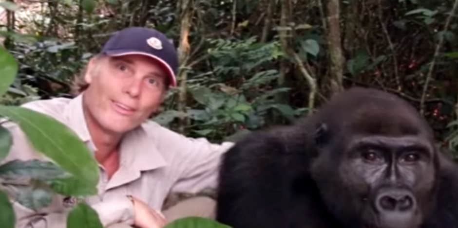 Family Reunites With Gorilla After 12 Years