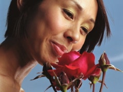 woman smell rose