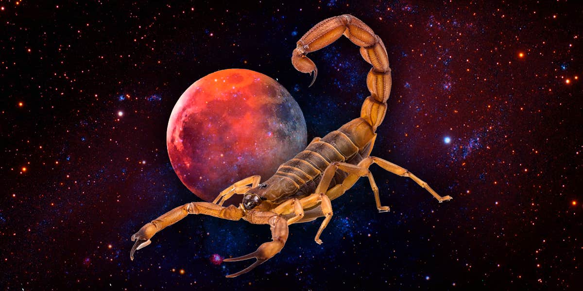 scorpion meaning and symbolism