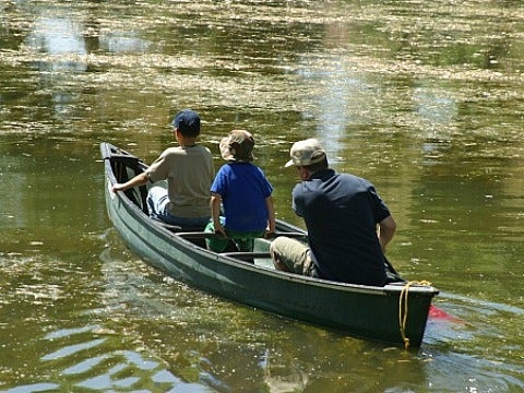 father and sons rowing boat