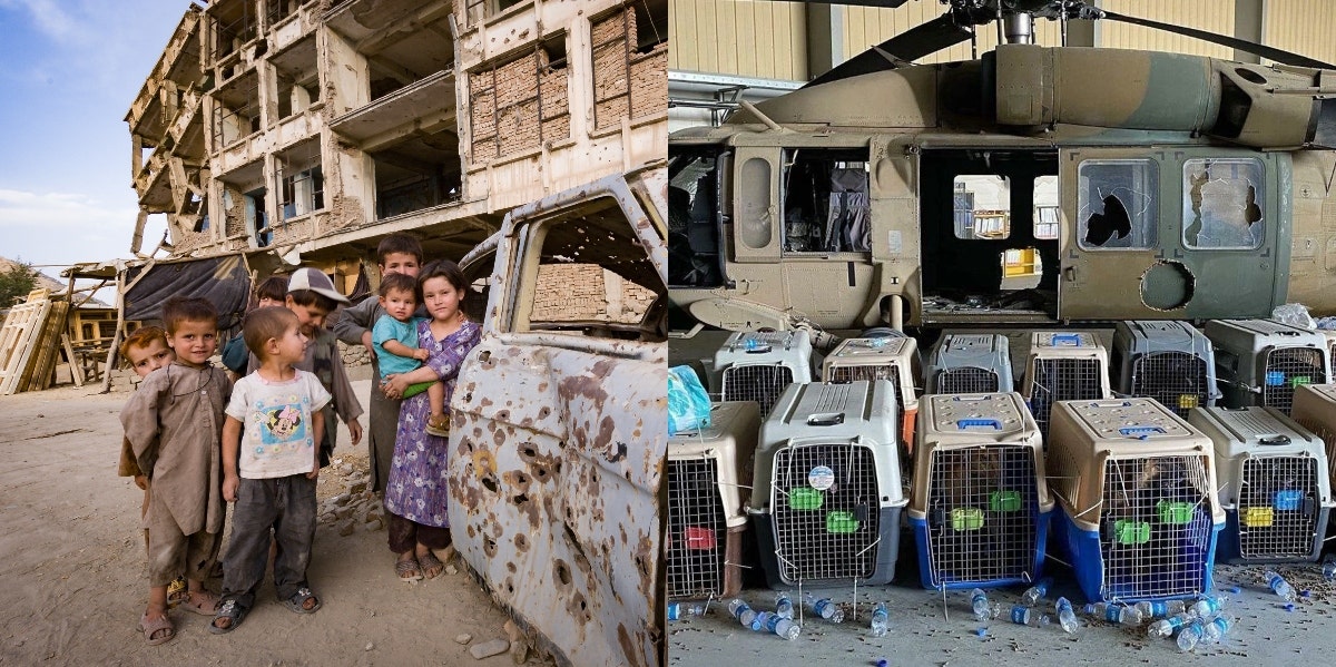 US Military Dogs Were Not Left In Kabul But Afghan People Were Afghanistan Service Dogs