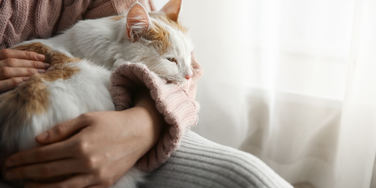 Woman holding cat