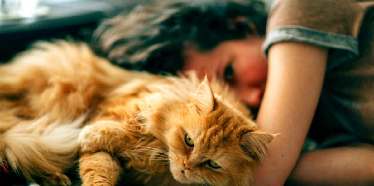 woman who is a loner with her cat