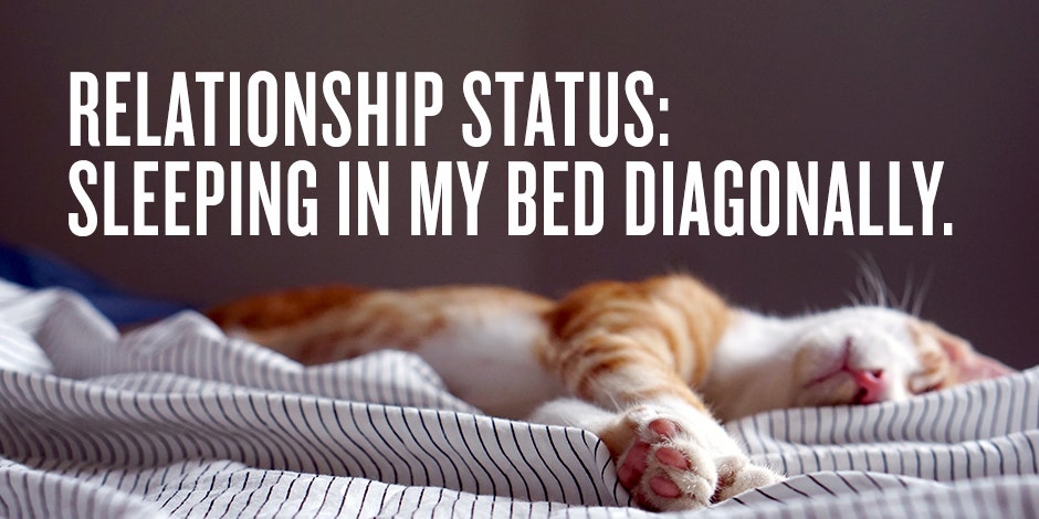 25 Funny Singles Awareness Day Memes To Pick You Up After A Sucky Valentine's Day 25 Funny Singles Awareness Day Memes To Pick You Up After A Sucky Valentine's Day