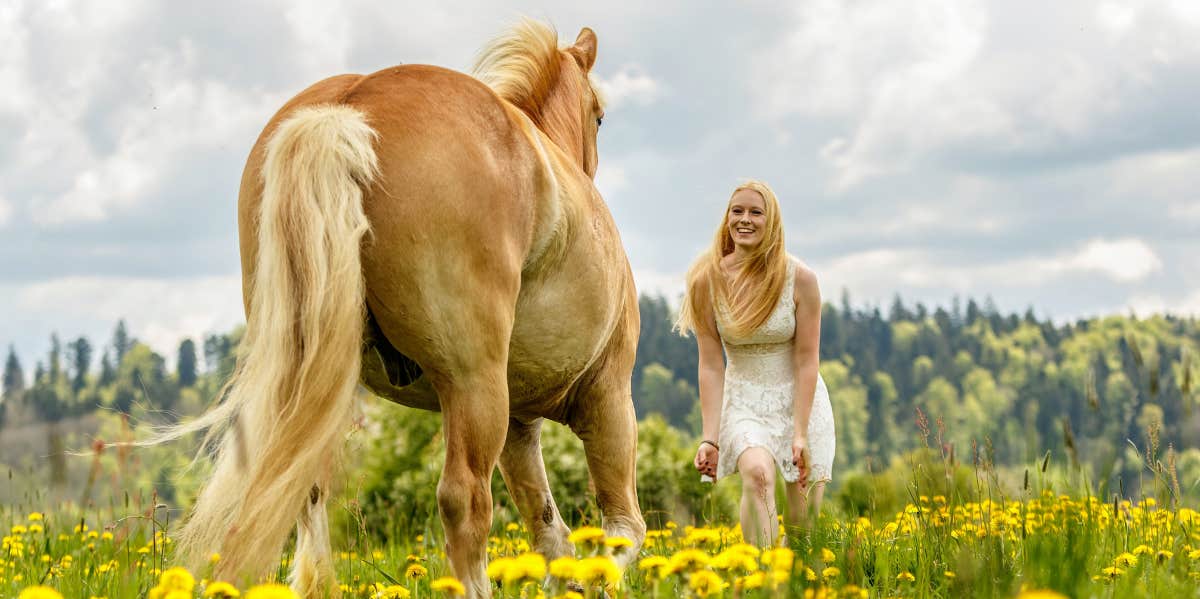 horse and a girl in a field 