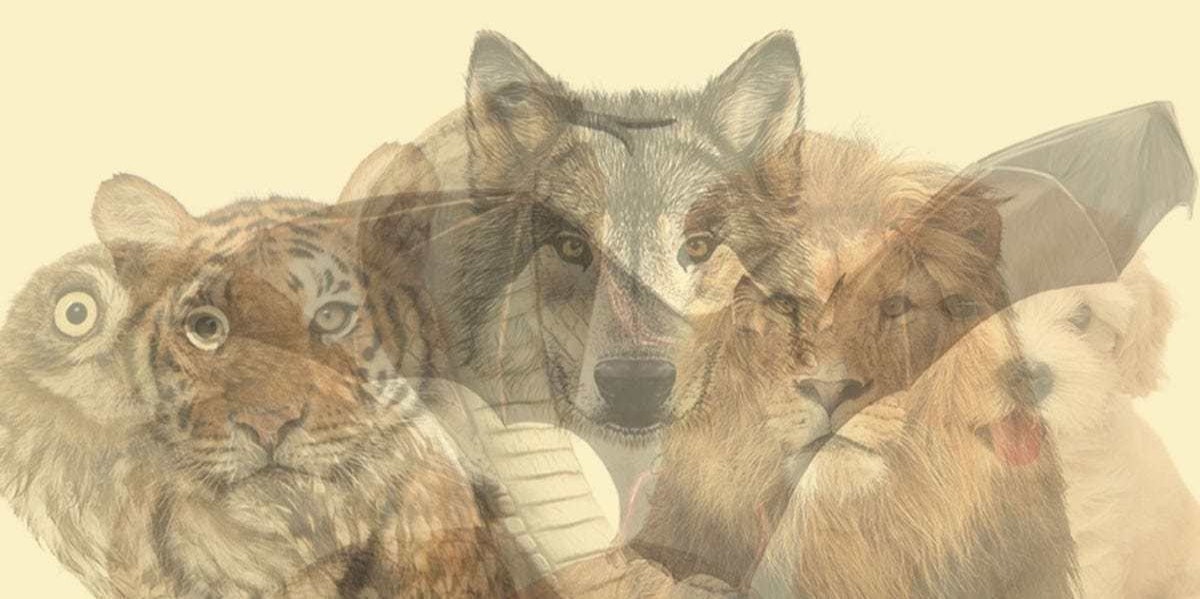 Spirit Animal Personality Test: What You See First Reveals Your Hidden Self | YourTango Spirit Animal Personality Test: What You See First Reveals Your Hidden Self | YourTango