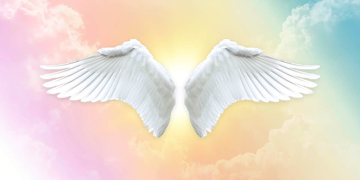 angel wings