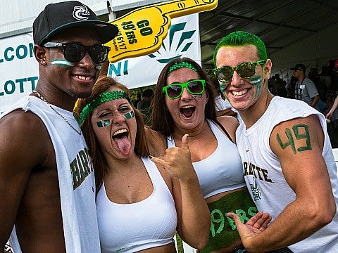 sports fans who really love their team sports fans who really love their team