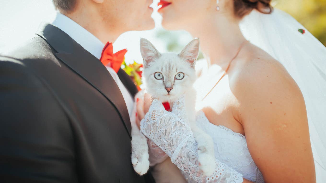 bride and groom holding kitten