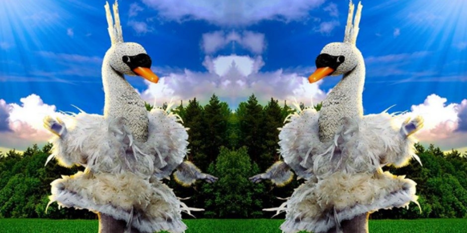 Who Is The Swan On 'The Masked Singer'? Masked Singer Spoilers Ahead! 