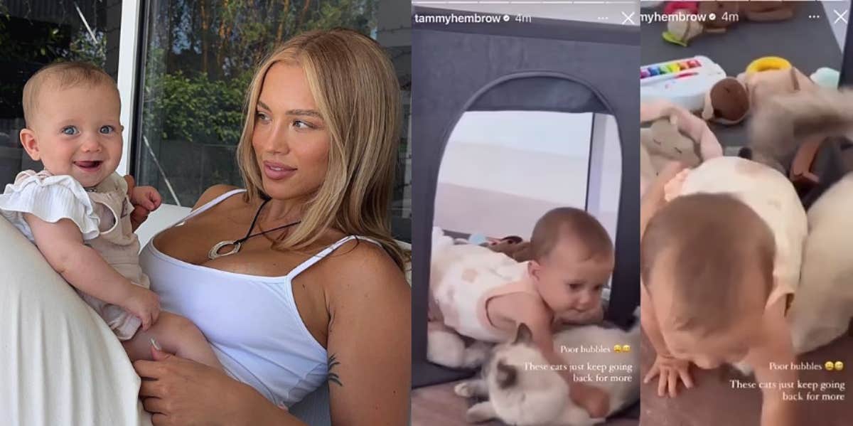 Tammy Hembrow, Posy, cat