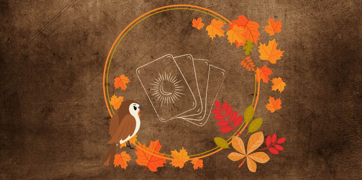 Every Individual Zodiac Sign's Tarot Horoscope For October 4, 2023 tarot horoscope for october 4, 2023