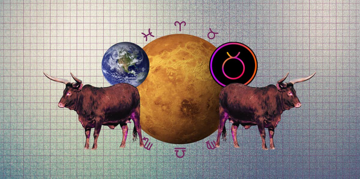 When Is Taurus Season? Dates And Effects On Each Zodiac Sign bull, taurus zodiac symbol, venus, earth, zodiac signs