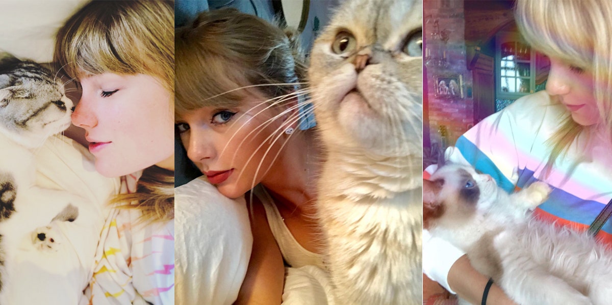 Taylor Swift with her cats Meredith Grey, Olivia Benson, Benjamin Button