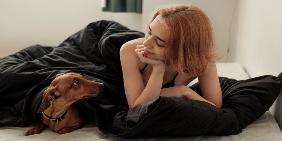 The Perfect Dog For You, Based On Your Zodiac Sign