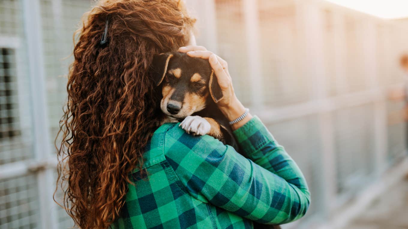How The 3-3-3 Rule That Comes With Adopting A New Pet Can Help Their Owners Understand Them Better adoption, new pet