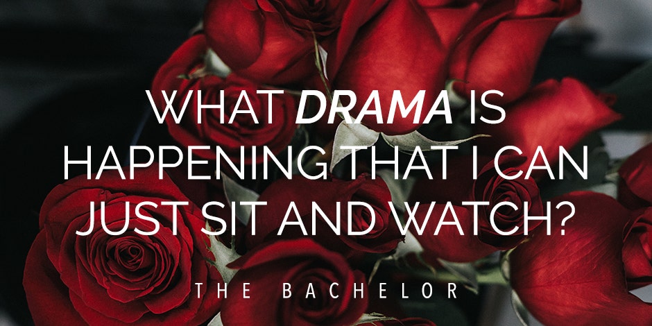 20 Best Iconic Quotes From 'The Bachelor' Every Fan Remembers