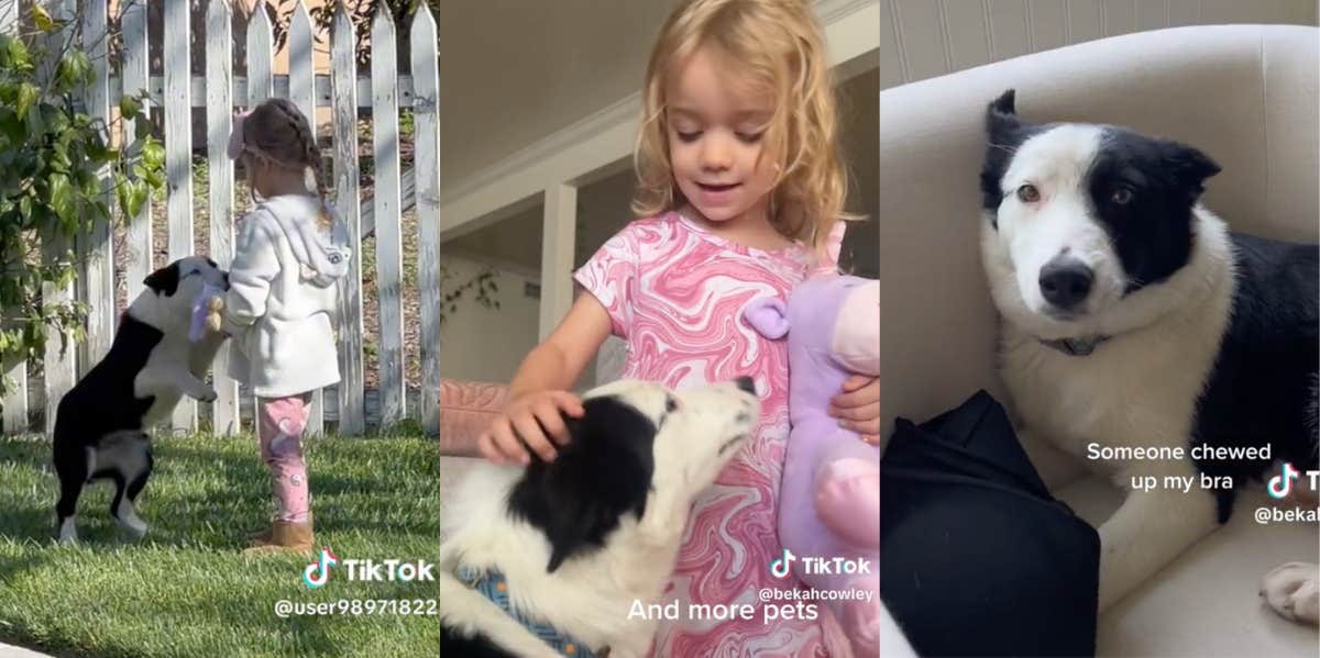 Mom Finds Stray Dog & Her Daughter Falls In Love With It Screenshots from TikToks of little girl and her stray dog