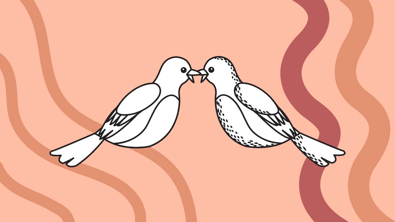 A drawing of two love birds kissing
