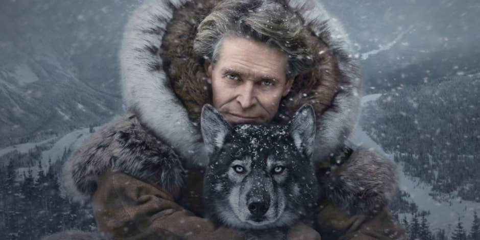 Who Is The Real Togo? The Story Behind The Disney+ Alaskan Sled Dog Movie 'Togo': Separating Fact Vs. Fiction Who Is The Real Togo? The Story Behind The Disney+ Alaskan Sled Dog Movie 'Togo': Separating Fact Vs. Fiction