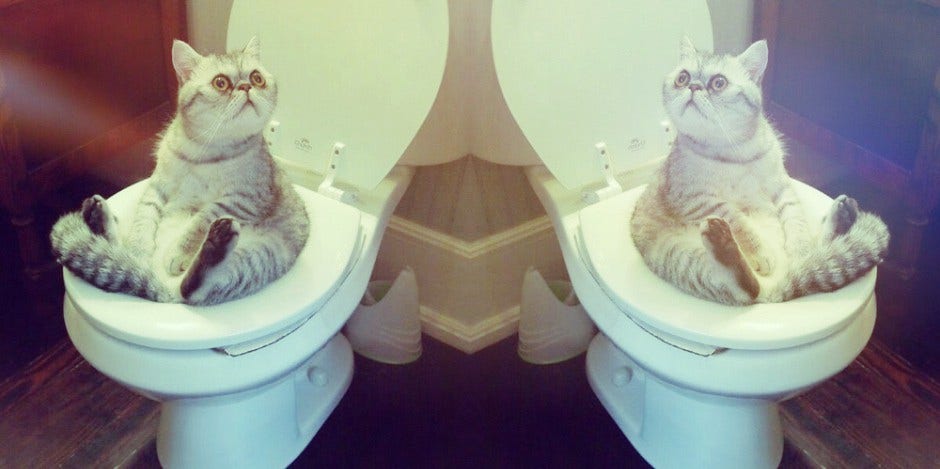 peeing after sex peeing after sex